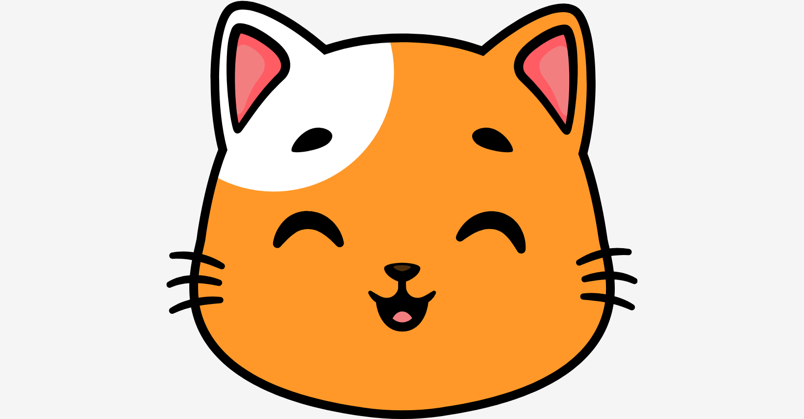 Coverage Cat Insurance icon